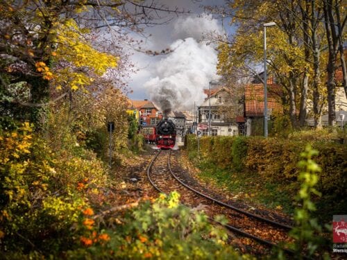 Harzer Schmalspurbahn am herbstklichen Westerntor