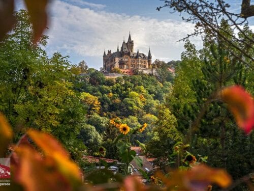 Das Wernigeröder Schloss im Herbst.