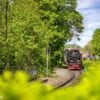Schmalspurbahn 3