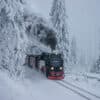 Der letzte Zug zum Brocken