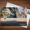 Postkarte: Natur erleben
