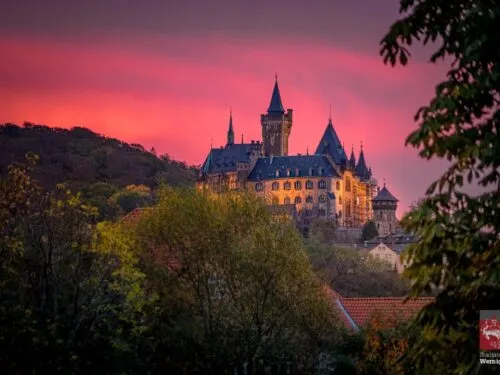 Schloß Wernigerode im Morgenrot Schloß Wernigerode im Morgenrot