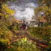 Harzer Schmalspurbahn am herbstklichen Westerntor