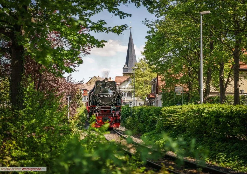 Schmalspurbahn 2