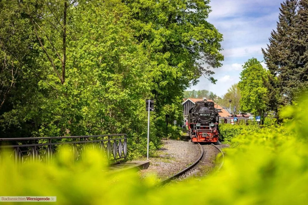 Schmalspurbahn 3