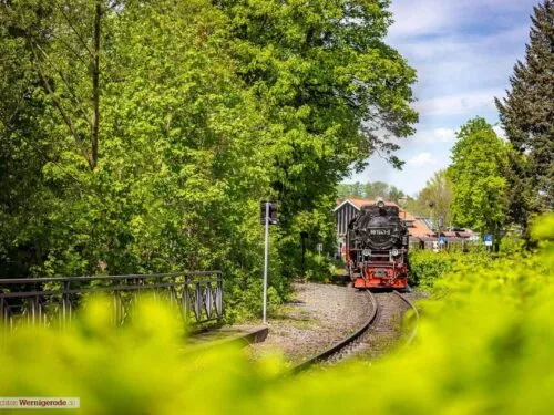 Schmalspurbahn 3
