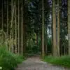 Hänsel und Gretel