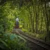 Die Schmalspurbahn in Wernigerode