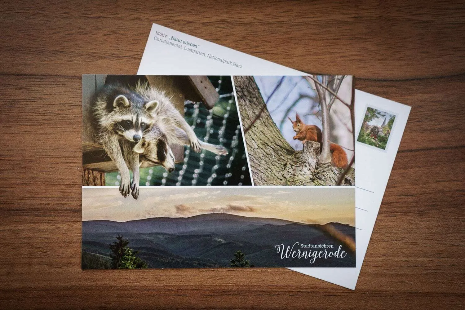 Postkarte: Natur erleben