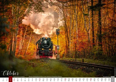Dampfzug der Harzer Schmalspurbahn im Herbstwald auf Bahngleisen.