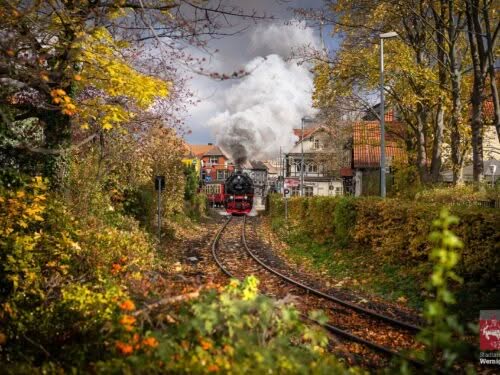 Harzer Schmalspurbahn am herbstklichen Westerntor Harzer Schmalspurbahn am herbstklichen Westerntor