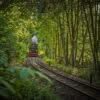 Die Schmalspurbahn in Wernigerode