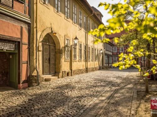 Frühling am Wernigeröder Liebfrauenkirchhof. Am Liebfrauenkirchhof