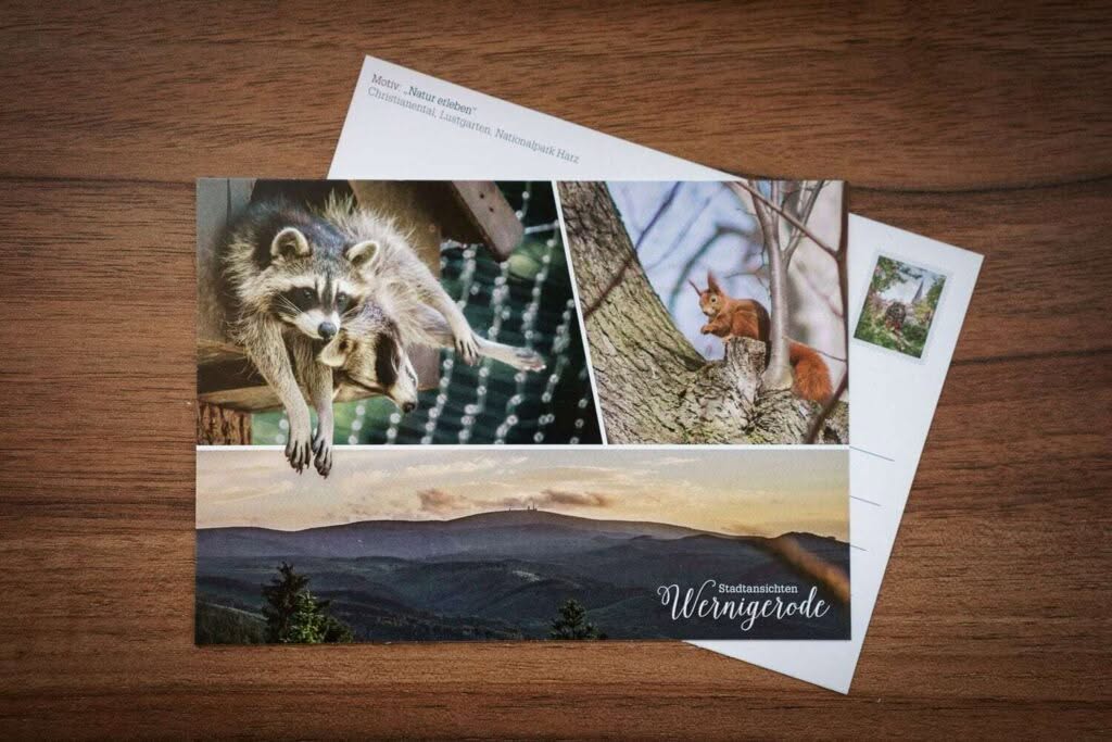 Postkarte: Natur erleben